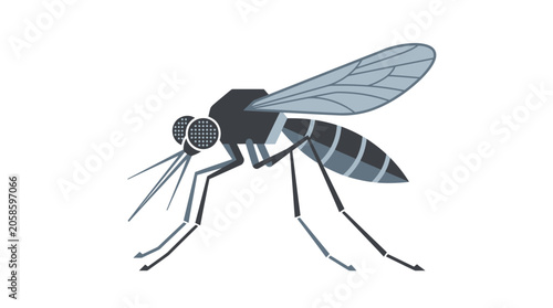 Photos Detailed illustration of a mosquito.