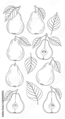 Minimal Pear Fruit Line Art Arranged with Leaves on White Background