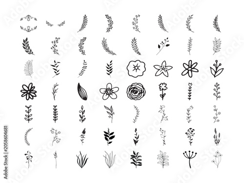 Botanical Foliage Sprigs and Floral Elements Vector Bundle