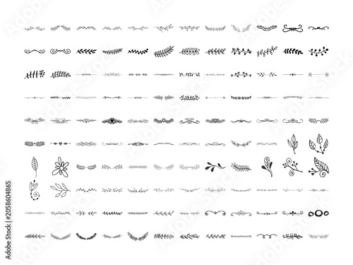 Botanical Divider Separator and Decorative Line Vector Bundle