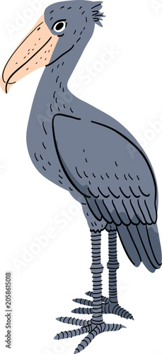Illustration of a Shoebill Bird