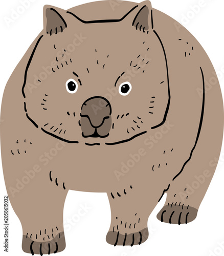 Illustration of a Wombat