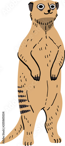 Illustration of a Standing Meerkat