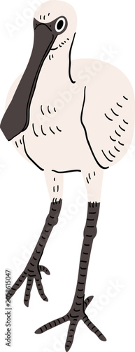 Illustration of a Spoonbill Bird