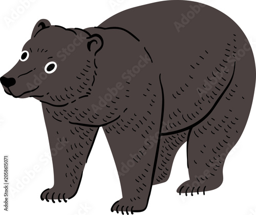 Illustration of a Black Bear
