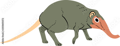 Illustration of an Elephant Shrew With a Long Nose