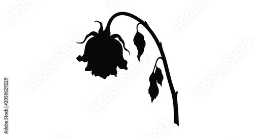Obraz na płótnie Wilted rose with drooping stem and leaves black silhouette flower floral bloom b