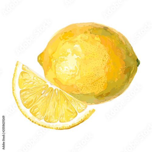 Slika na platnu illustration watercolor of lemon fruit
