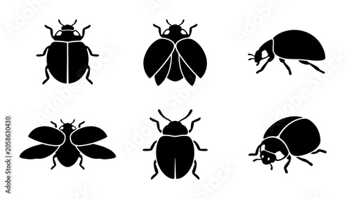 Canvastavla Black Insect Icons Set, Ladybug Vector Graphics, Beetle Silhouettes Collection,
