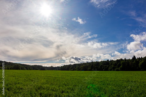 Bild auf Leinwand Bright summer sun shines over a vast vibrant green meadow with lush grass, frame