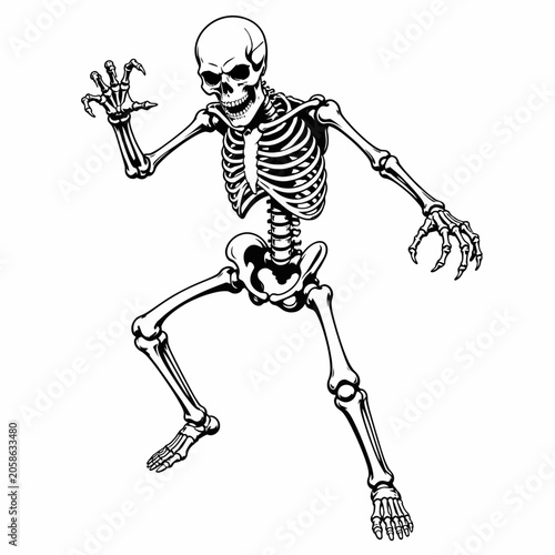 Scary Human Skeleton Character Vector Illustration in Creepy Pose
