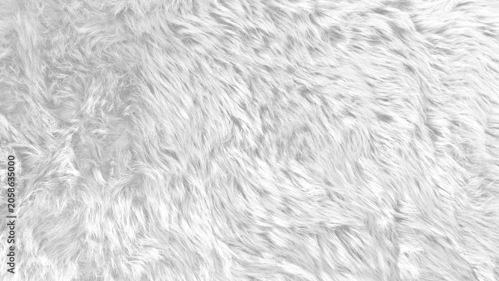 Fototapeta premium White Faux Fur Texture Background. Fluffy Soft Animal Hair Pattern. Luxury White Shag Fabric Backdrop for Fashion, Winter and Cozy Design.