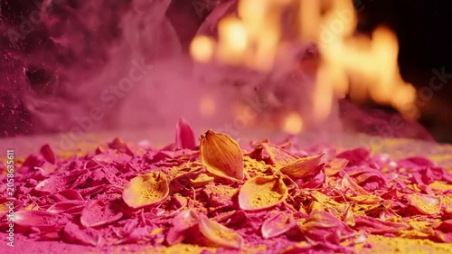 Vibrant Spring Festival Powder And Flower Petals Scattered In Front Of A Blurring Glowing Fire Pit