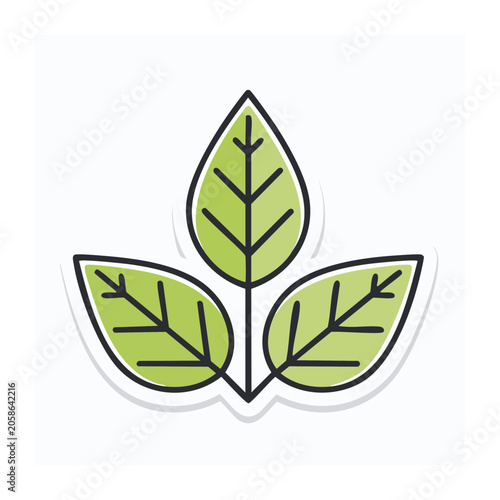 Three green leaves icon with transparent background