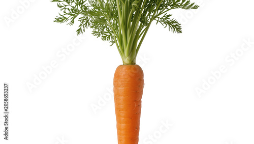Foto Fresh orange carrot with green leafy top, isolated on transparent background