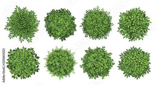 High angle view of eight different round green bushes and shrubs for landscape design isolated on a white background.