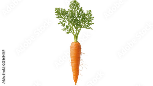 Fotografie Fresh orange carrot with green leafy tops, isolated on transparent background