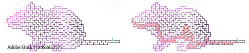 Labyrinth with entry and exit represented through maze design.  mouse