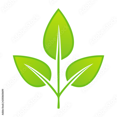 Green leaf icon with stem on transparent background