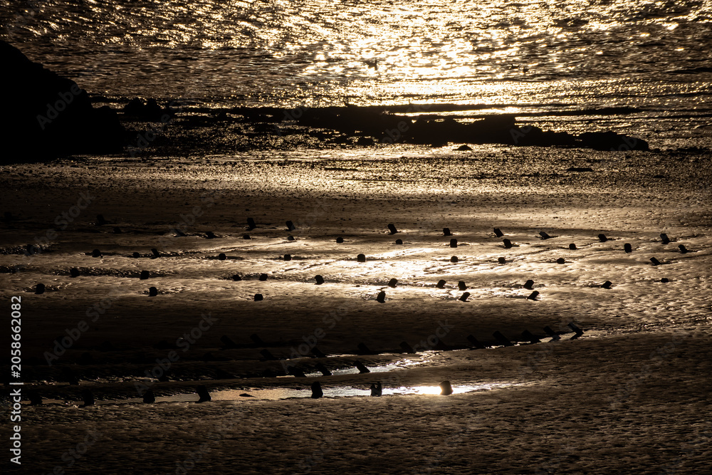 Ταπετσαρία Wooden posts cast silhouettes across glistening shoreline as sunlight catches th