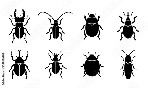 Obraz na plátne Diverse Insect Silhouettes Collection: Beetle, Stag Beetle, Longhorn Beetle Icon