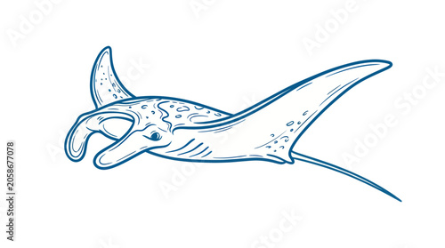 Manta Ray illustration, elegant marine animal swimming, simple line art