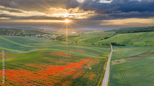 Scenic sunrise over rolling hills of South Moravia with a vibrant wild poppy field