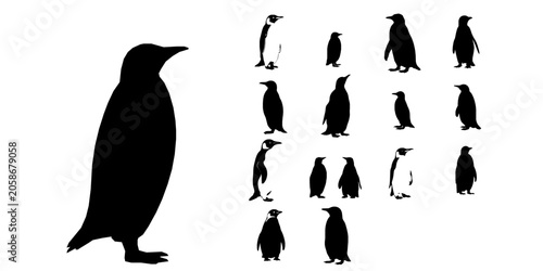 Valokuva Penguin Standing Silhouette