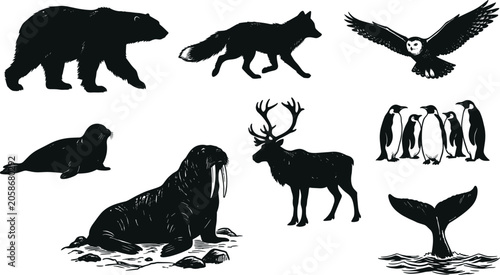 Photography Arctic Wildlife Silhouette Collection Featuring Bear Fox Owl Penguin Walrus and