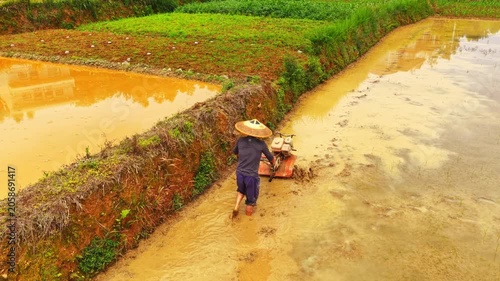 rice terraces in china