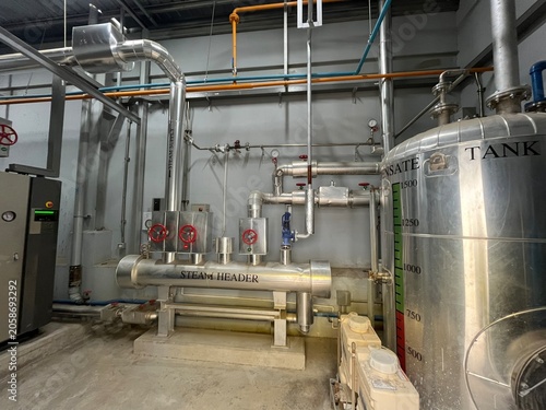 Steam utility equipment and distribution pipelines inside a food manufacturing facility. Industrial infrastructure supporting process heating, steam generation, and production operations.