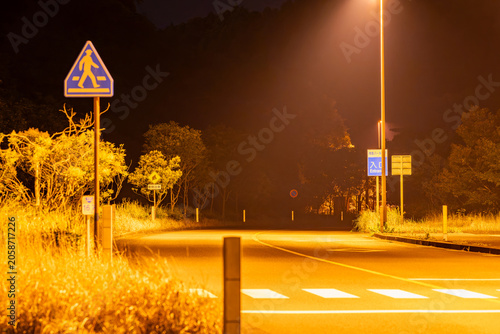 Foto 夜の横断歩道標識