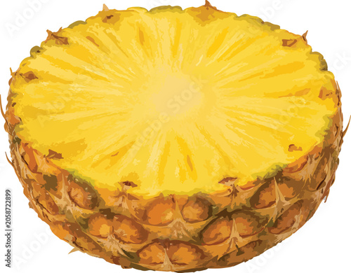 Pineapple Slice With Rough Outer Skin fruit tropical
