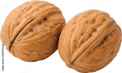 Two Whole Walnuts on White Background food healthy food