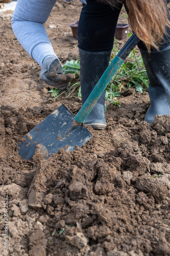 Close-up of a gardener digging a planting hole with a spade, wearing rubber boots while preparing soil for sowing, gardening and landscaping work.