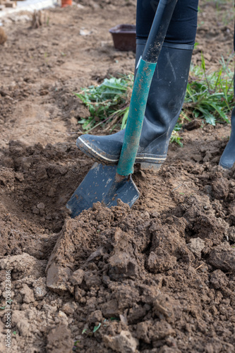 Close-up of a gardener digging a planting hole with a spade, wearing rubber boots while preparing soil for sowing, gardening and landscaping work.