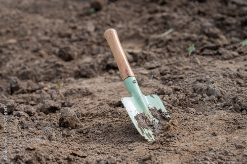 Garden hand trowel in freshly prepared soil, gardening tool for planting, sowing and garden maintenance, close-up of backyard horticulture work.