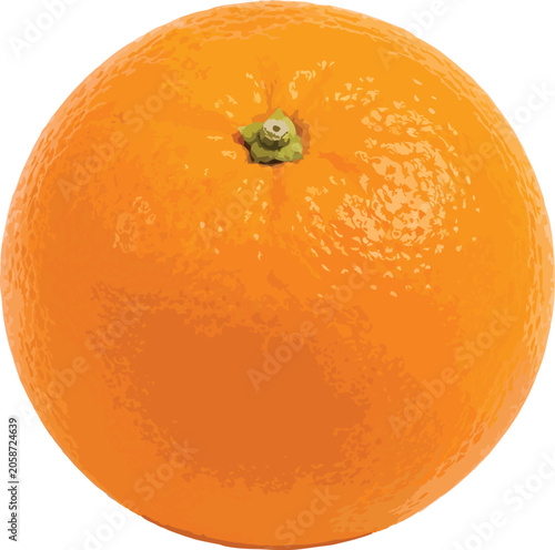 Whole Orange with Green Stem Isolated on White Background
