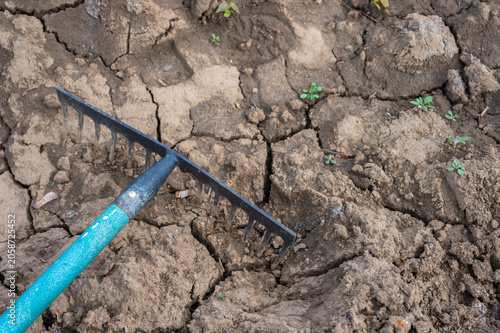 Cuadro en lienzo Garden rake on cracked dry soil during drought, agriculture and land degradation concept, barren earth texture and climate change impact