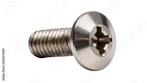 Bild auf Leinwand Silver metal screw with Phillips head and threaded shaft