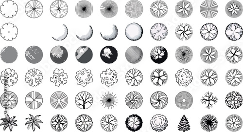 Set of vector tree plan view symbols for architectural landscape design