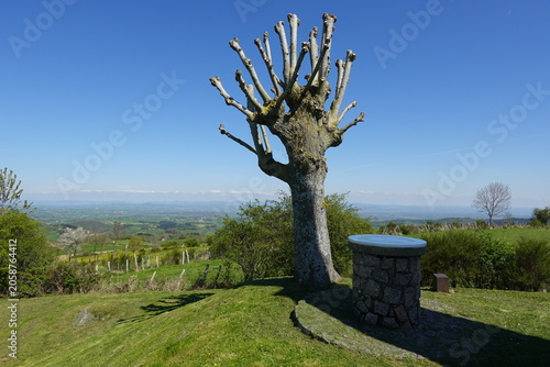 Balade en pays auvergnat