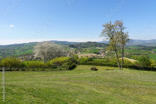 Balade en pays auvergnat