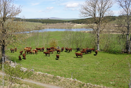 Balade en pays auvergnat