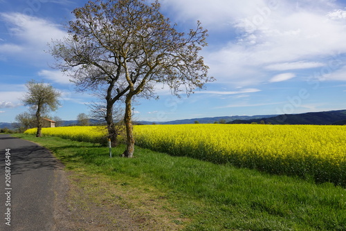 Balade en pays auvergnat