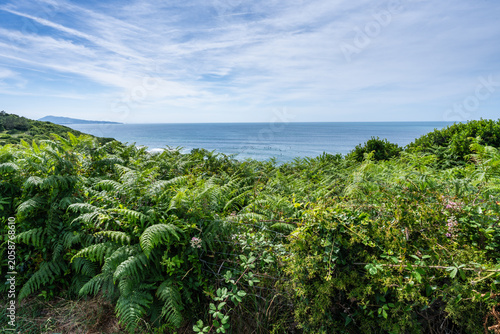 Landscape of Guethary with vegetation and ocean in the background. Basque Country, France.