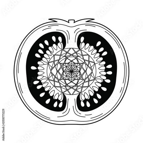 Minimalist Tomato Mandala Illustration - Geometric Vegetable Line Art