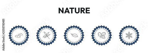 nature outline icon set. sunny protic, pecan leaf, apricot leaf leaf, big snowflake and more. linear vector collection. editable stroke