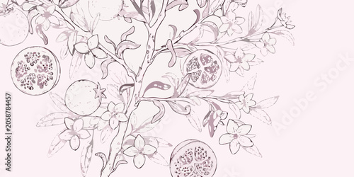 Pomegranate Branch And Blossoms Vintage style Vector Illustration