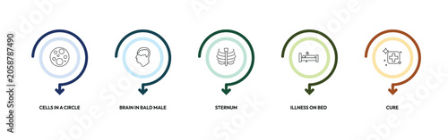 Fotografía medical outline icon set